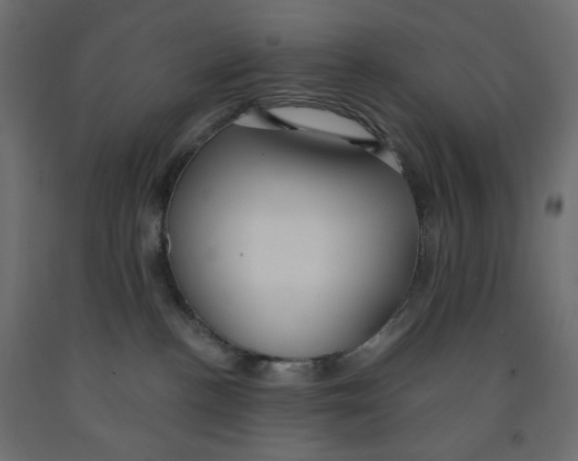 X0000091850188200710031649