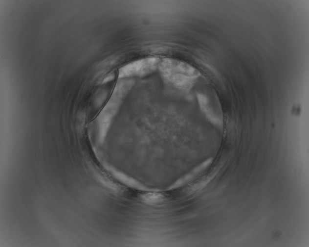 X0000091850189200710031649