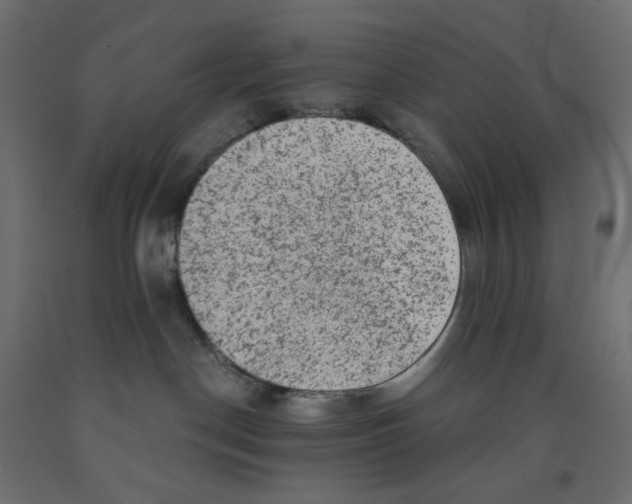 X0000091850190200710031649