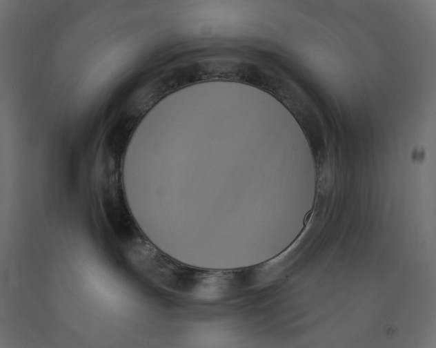 X0000091850191200710031649