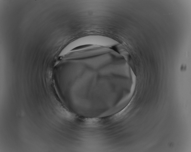 X0000091850192200710031649