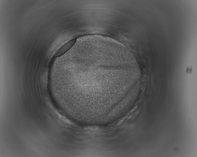 X0000091850194200710031648