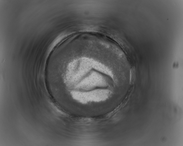 X0000091850195200710031648
