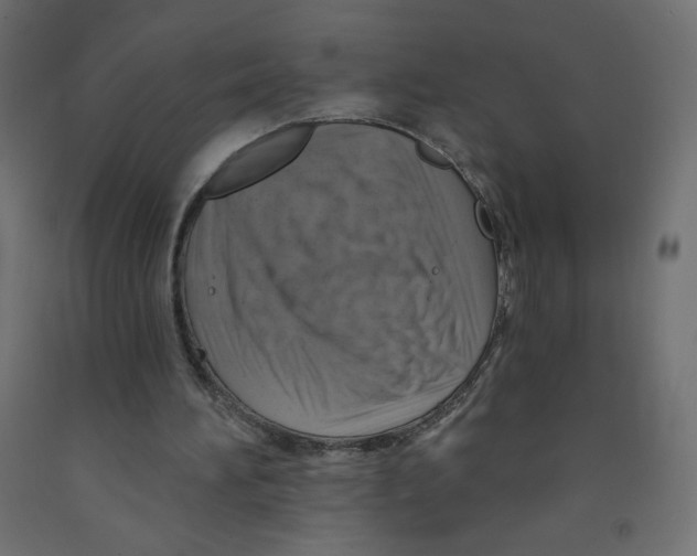 X0000091850196200710031648