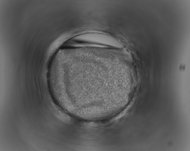 X0000091850197200710031648