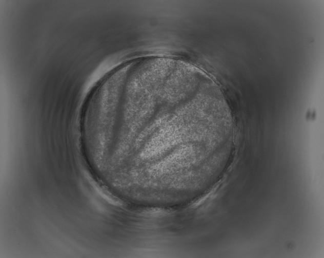 X0000091850198200710031648