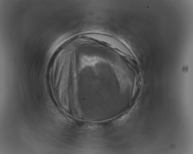 X0000091850199200710031648