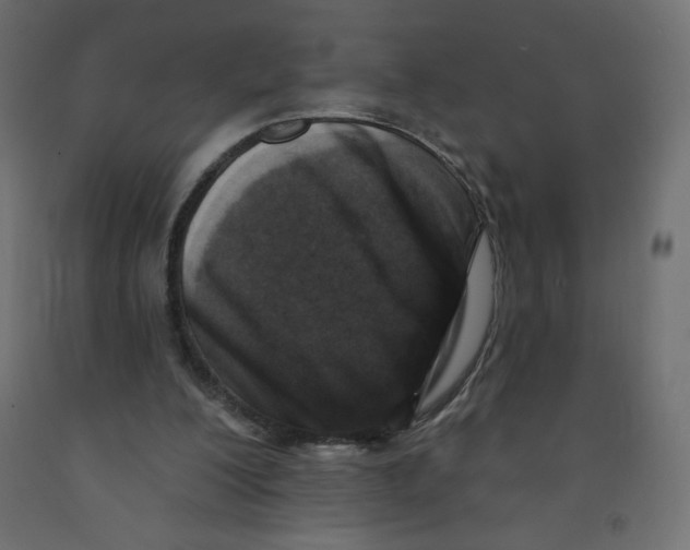 X0000091850200200710031648