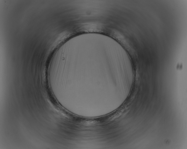 X0000091850202200710031648