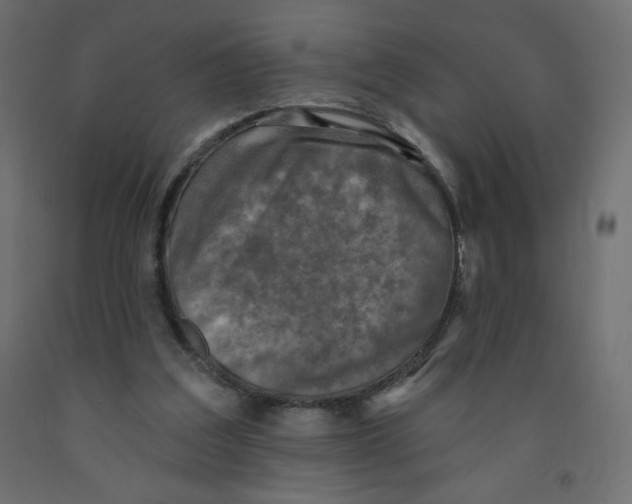 X0000091850203200710031648