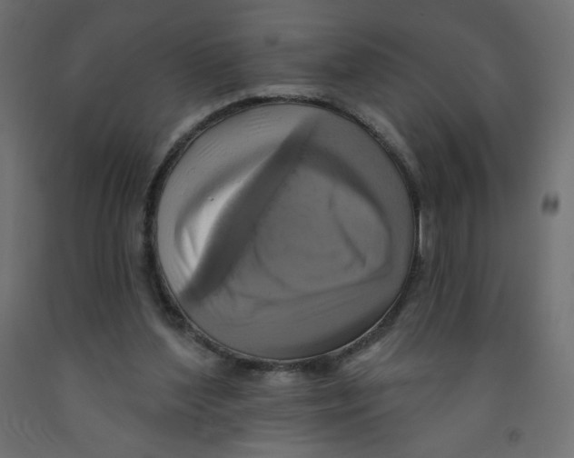 X0000091850204200710031648