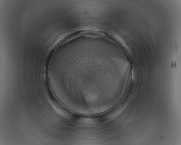 X0000091850205200710031648