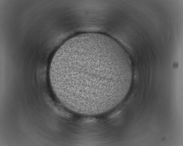 X0000091850206200710031648