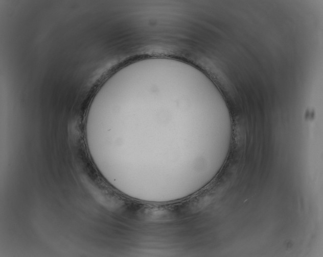 X0000091850208200710031648