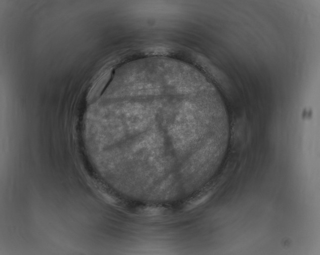 X0000091850209200710031648