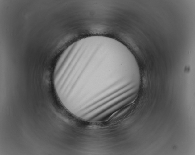 X0000091850211200710031648