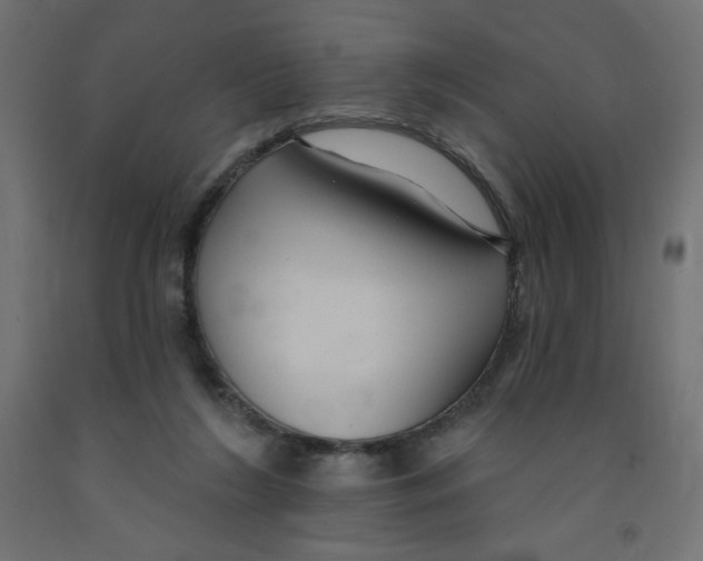 X0000091850212200710031648