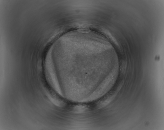 X0000091850213200710031648