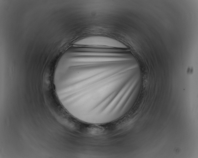 X0000091850215200710031648
