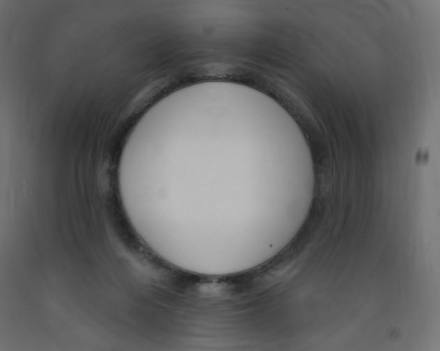 X0000091850216200710031648