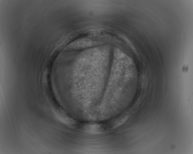 X0000091850217200710031648