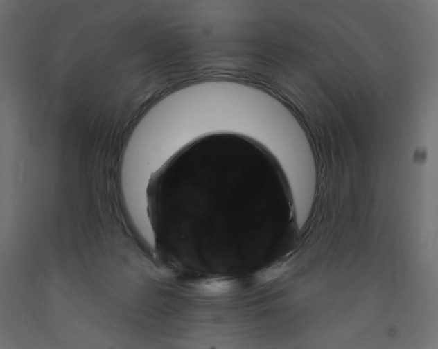 X0000091850219200710031648