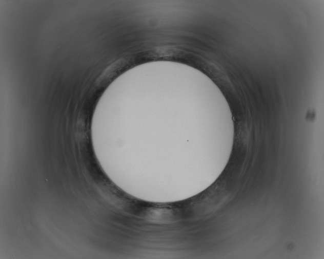 X0000091850220200710031648