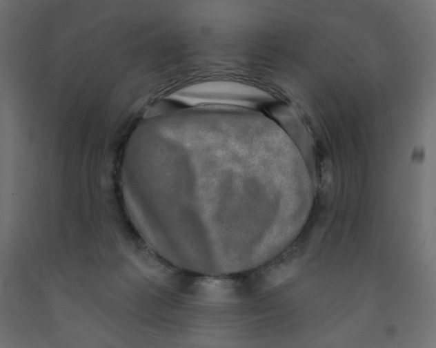 X0000091850221200710031648