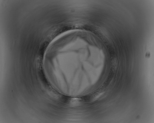 X0000091850222200710031648