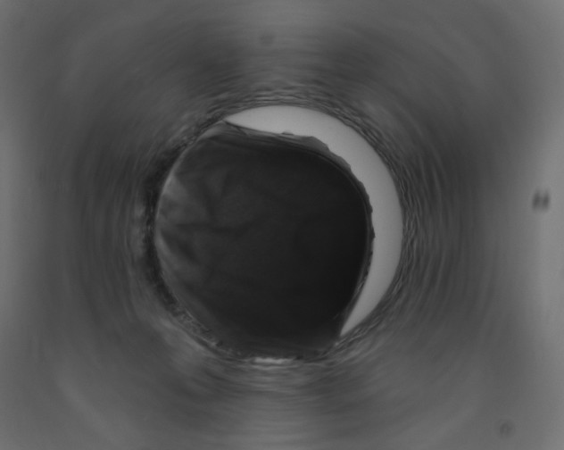 X0000091850223200710031648
