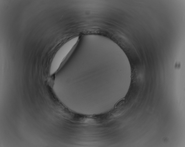 X0000091850224200710031648
