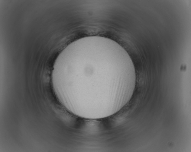 X0000091850226200710031648