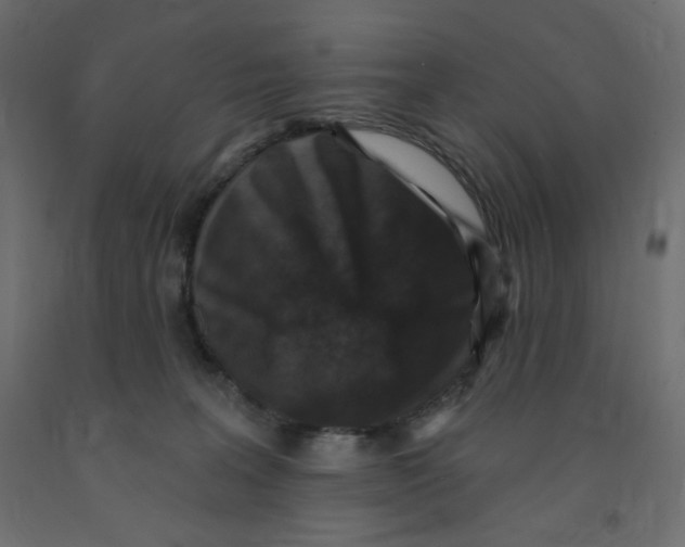 X0000091850227200710031648