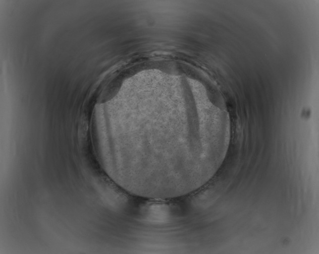 X0000091850228200710031648
