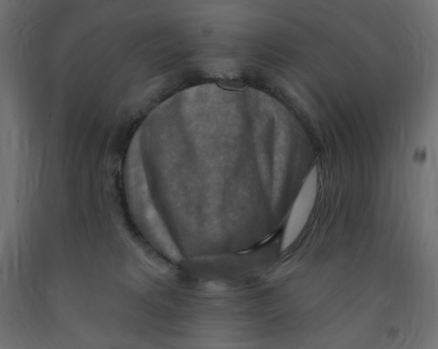 X0000091850229200710031648