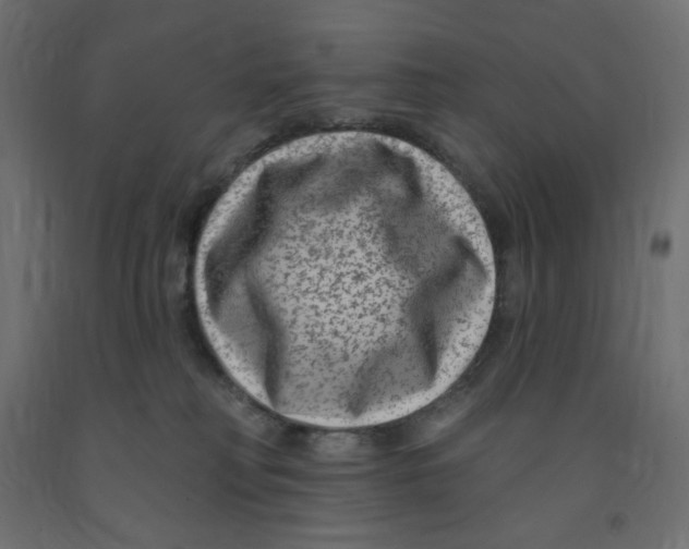 X0000091850230200710031648