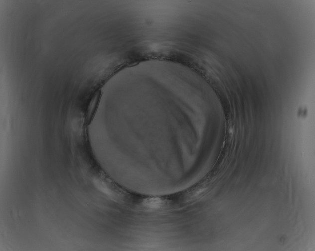 X0000091850231200710031648