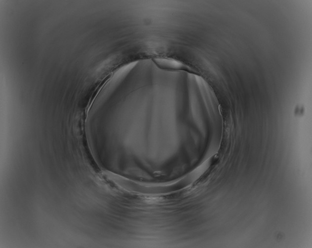 X0000091850233200710031648