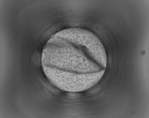 X0000091850234200710031648