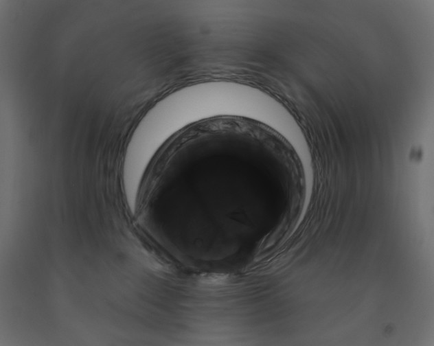 X0000091850235200710031648