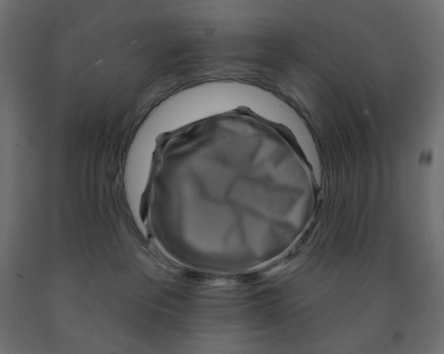 X0000091850237200710031647