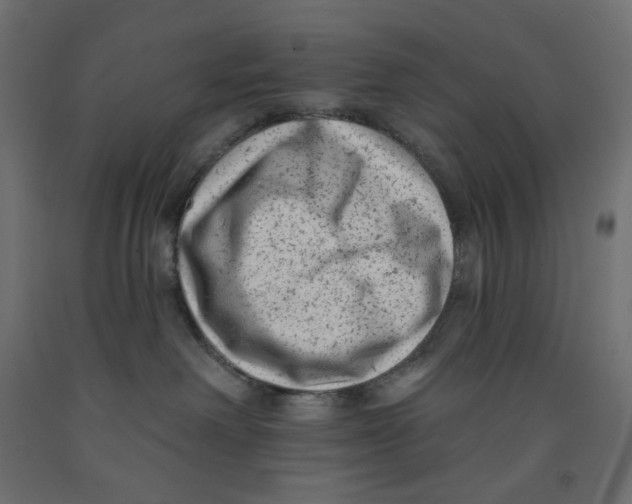X0000091850238200710031647