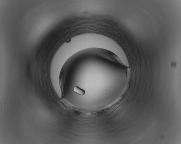 X0000091850239200710031647