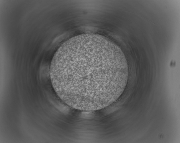 X0000091850240200710031647