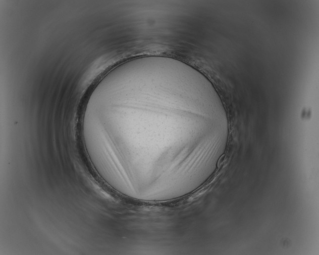 X0000091850242200710031647