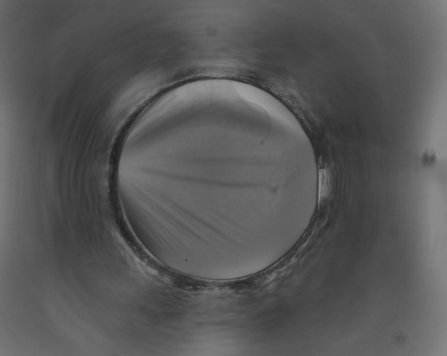 X0000091850243200710031647