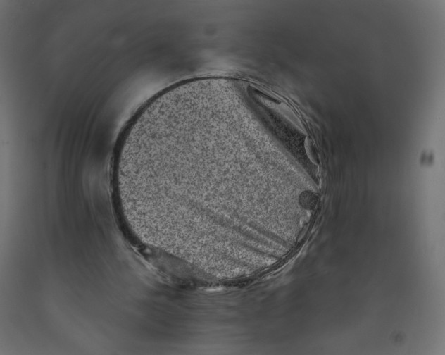 X0000091850244200710031647