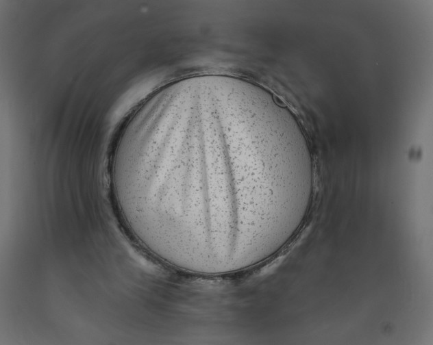 X0000091850245200710031647