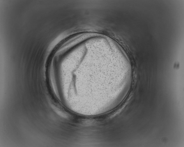 X0000091850246200710031647
