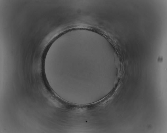 X0000091850247200710031647